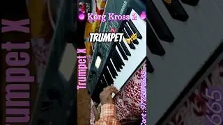 Kross 2 trumpet🎺💫#korgkross2 #music #india #keyboard #youtube #shorts #ytshorts #yt #bestoftheday