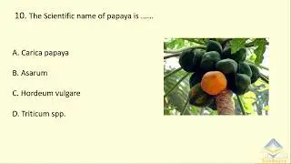 MCQs Based ON Scientific Names
