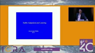 Jean Jacques Slotine - Stable Adaptation and Learning