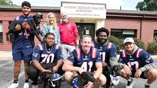 The New England Patriots Visit Local Animal Rescue Ahead of TailGate Adoption Event at Patriot Place