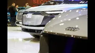 My Company Polska na Poznań Motor Show 2019