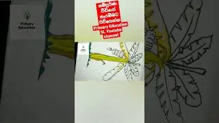 #new #primary #education #sl #easy #teaching #best #crafts #kids #diy #viral #arts #howtomake