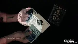 [CARTES PRODUCTION]- jimmy fallon playing cards by theory 11