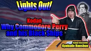What made the USA send expeditions to Japan in the 19th century?