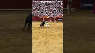 Raul moreta-castellon, gran quiebro ole
