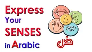 Express your five senses in Arabic: أسمع - ألمس - أشم - أرى - أتذوق