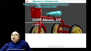 Japanese Law Contemporary Problems, Family Law P2, TokyoTech Online Lecture2020, KanekoLabo