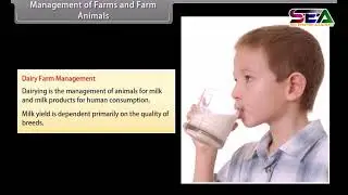 Enhancement in food production  | Class 12 Biology | animated video ncert