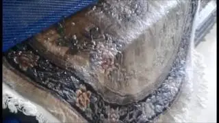 Best Companies of Indoor Oriental Rug Cleaning Service in Parkland