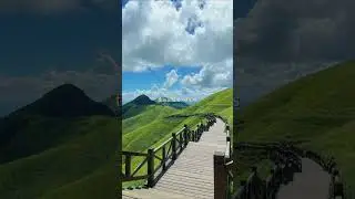 If you have free time, just go to nature and relax ☮️