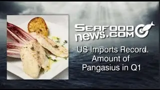US Imports Record Amount of Pangasius in Q1