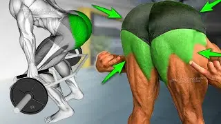 6 Best Exercise Glutes Workout - Effective Exercise