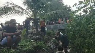 Гегер Геден ‼️ спасение змей в Сломпаке, Нгури, Лембеяне.