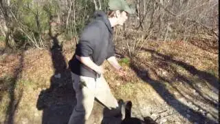 Training | Remote recall practice | Solid K9 Training Dog Training