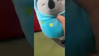Videos random