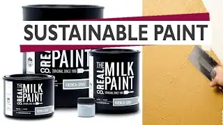 Sustainable Home // 6 ECO Friendly Paints // Earth friendly alternatives for your next project!