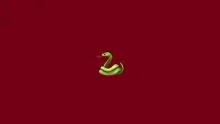 Loop - Trepp
