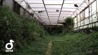 Durrell and the world's rarest fruit bats