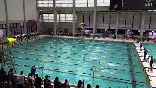 Clayton D3 Swimming Competition 50m freestyle 2025/2/22 Lane 3