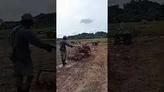 Olah Lahan Sawah Pakai Traktor Sawah Quick G 3000