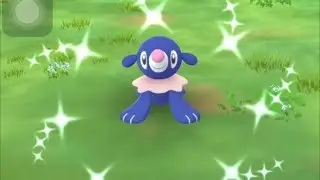 ✨Shiny Popplio✨💧🦭Pok&eacute;mon Go In Community Day  #pokemongo #pokemon #shinypokemon #shinypopplio