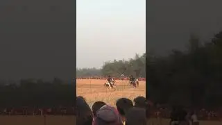 Horse Racing, Traditional Village Game #shorts