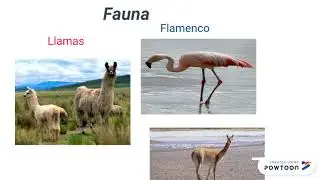 Regi&oacute;n de Tarapac&aacute;.pptx