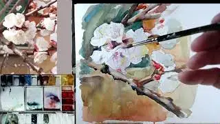 FIORI SU ALBERI A PRIMAVERA IN ACQUARELLO DI G. SOMMARIVA