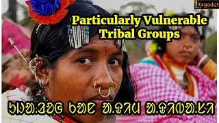 Particularly Vulnerable  Tribal Groups