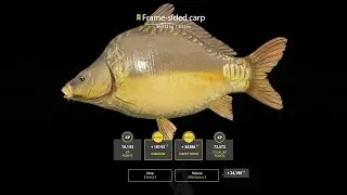 close call frame sided carp