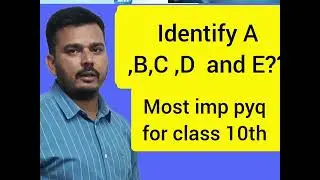 Study of Compounds ( Hydrogen Chloride) Identification of A, B, C, D and E 