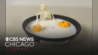 The Kroger Co. recalls skeleton candles for fire risk