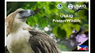 USAID Protect Wildlife Project in the Philippines