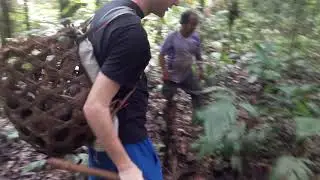 Fauna Forever - Learning about Brazil nut harvesting in the Peruvian Amazon rainforest