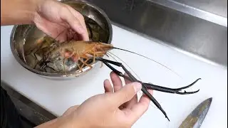 島に生息する巨大なテナガエビを捕まえて最高の料理に