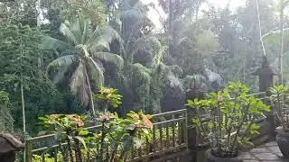 Jual villa seharga tanah los tebing sungai sentral wisata terrace Ubud, Bali