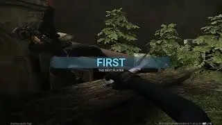 Arms race forest  win combat master