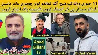 Pakistani Top Class Bully Breed Dog Name Commando Owner Ch Amir Yaseen P.K Insaaf Group