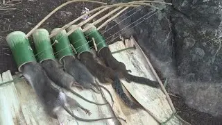 Create Marvelous Bamboo Trap For Rats and Squirrel