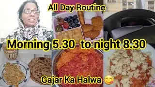 All Day Routine/Morning To Night/Mazedar Gajar Ka Halwa Banaya/Saima Vlogs