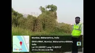 Mangrove forest destruction for WWTF in malwani