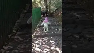 naik gunung, siapa takut #shorts