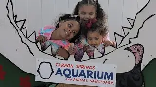 HANDS-ON at the Tarpon Springs Aquarium! Florida Travel and Vacation spot
