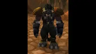 WoW classic Anniversary Part29