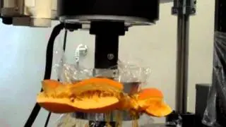 Compression Testing Pumpkins