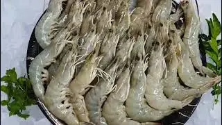 Super Fresh Prawns Arrive in the USA | Sashimi Foods | Never Frozen Seafood