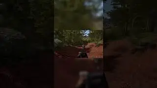 Tactical Gameplay & Lag Spikes in Bellum!