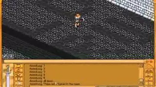 Endless Online - Maze Guide 2011