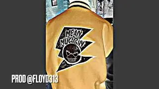 Floyd 313 - zach randolph