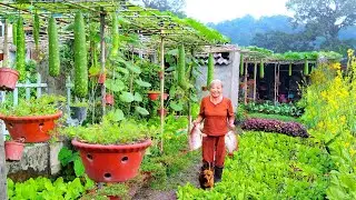A peaceful life in the countryside, fishing, cooking, gardening, and harvesting | mother's life